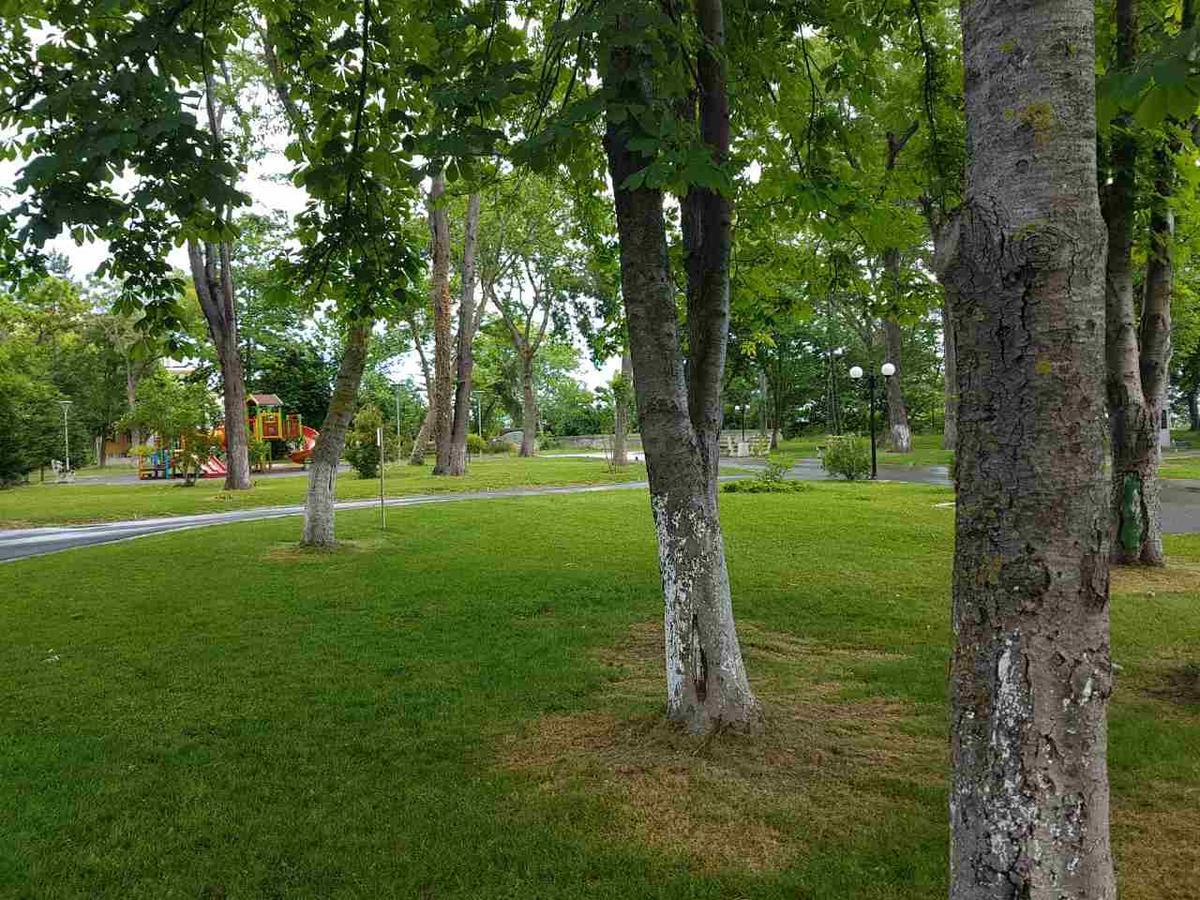 Villa Salena Primorsko Dış mekan fotoğraf